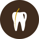 Root Canals